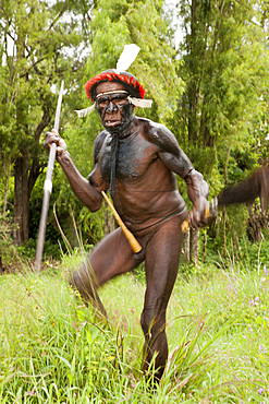 Warriors of Dani tribe, Baliem Valley, West Papua, Indonesia, Southeast Asia, Asia