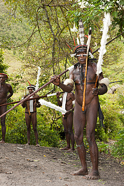 Warriors of Dani tribe, Baliem Valley, West Papua, Indonesia, Southeast Asia, Asia