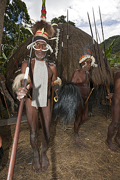 Warrior of Dani tribe, Baliem Valley, West Papua, Indonesia, Southeast Asia, Asia