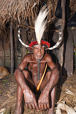 Warrior of Dani Tribe, Baliem Valley, West Papua, Indonesia, Southeast Asia, Asia