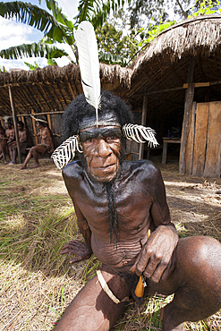 Warrior of Dani tribe, Baliem Valley, West Papua, Indonesia, Southeast Asia, Asia