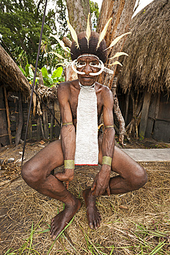 Warrior of Dani tribe, Baliem Valley, West Papua, Indonesia, Southeast Asia, Asia