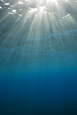 Sunbeams filtering through Water Surface, Caribbean Sea, Dominica