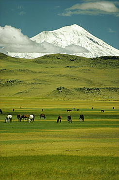 Mount Ararat, Anatolia, Turkey, Asia Minor, Eurasia