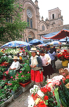 Cuenca World Heritage City & Ecuador's third largest city, famous for its colonial architecture main flower market off of Calderon Park, Highlands, Ecuador