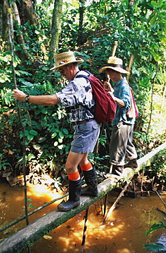 Amazon River Basin Napo River (Amazon tributary) down river at La Selva Jungle Lodge naturalists crossing jungle stream in rainforest, Oriente, Ecuador