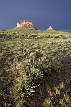 Pawnee Buttes, Pawnee National Grassland, Colorado, United States of America, North America