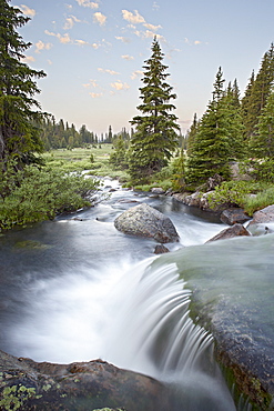 Little Bear Creek cascade at sunrise, Shoshone National Forest, Wyoming, United States of America, North America