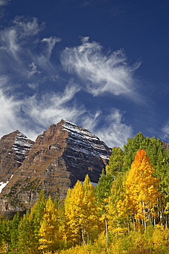 Maroon Bells with fall color, White River National Forest, Colorado, United States of America, North America