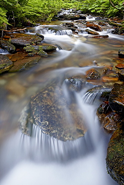 Cascades on Yellow Dog Creek, Coeur d'Alene National Forest, Idaho Panhandle National Forests, Idaho, United States of America, North America