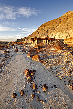 Badlands, Dinosaur Provincial Park, UNESCO World Heritage Site, Alberta, Canada, North America