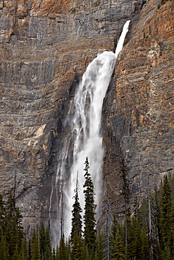 Takakkaw Falls, Yoho National Park, UNESCO World Heritage Site, British Columbia, Canada, North America