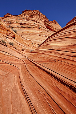 The Mini Wave formation, Coyote Buttes Wilderness, Vermillion Cliffs National Monument, Arizona, United States of America, North America