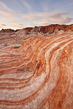 Orange and white sandstone layers with colorful clouds at sunrise, Valley Of Fire State Park, Nevada, United States of America, North America