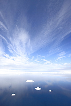 Calm water off the coast of Spitsbergen Island with four small chunks of sea ice, Svalbard Islands, Arctic, Norway, Scandinavia, Europe