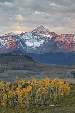 Wilson Peak at dawn in the fall, Uncompahgre National Forest, Colorado, United States of America, North America