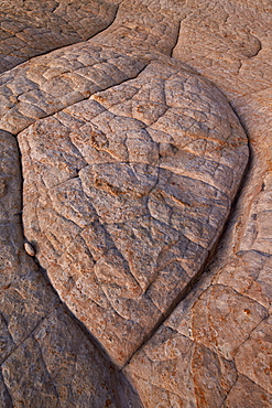 Erosion pattern in Navajo sandstone, Grand Staircase-Escalante National Monument, Utah, United States of America, North America