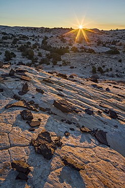 Sunrise above Navajo sandstone and lava chunks, Grand Staircase-Escalante National Monument, Utah, United States of America, North America