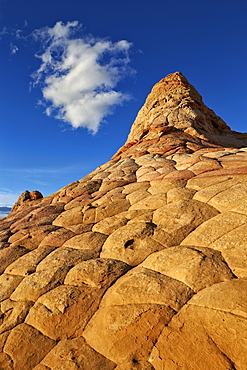 Sandstone hill with brain texture and a cloud, Coyote Buttes Wilderness, Vermillion Cliffs National Monument, Arizona, United States of America, North America