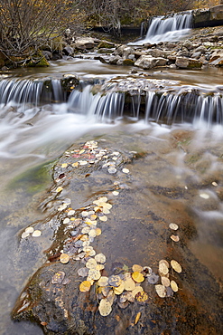 Falls on the Big Bear Creek in the fall, San Miguel County, Colorado, United States of America, North America 