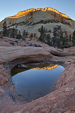 Pool in slick rock at dawn, Zion National Park, Utah, United States of America, North America 