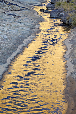 Stream reflecting first light, Grand Staircase-Escalante National Monument, Utah, United States of America, North America 