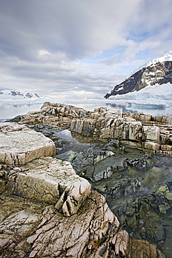 Neko Harbor, Antarctic Peninsula, Antarctica, Polar Regions