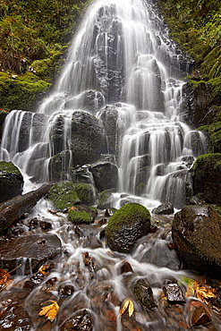 Fairy Falls in the fall, Columbia River Gorge, Oregon, United States of America, North America 