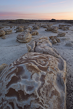 Eroded boulder at the Egg Factory, Bisti Wilderness, New Mexico, United States of America, North America