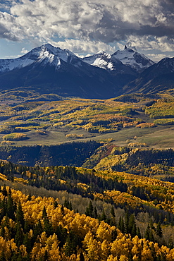 Lizard Head and yellow aspens in the fall, Uncompahgre National Forest, Colorado, United States of America, North America