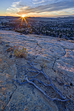 Sunrise from atop a sandstone hill, Grand Staircase-Escalante National Monument, Utah, United States of America, North America