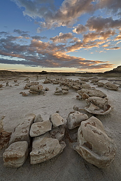 Egg Factory at dawn, Bisti Wilderness, New Mexico, United States of America, North America