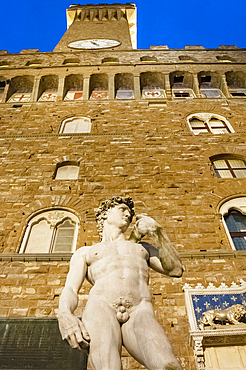 The David by Michelangelo, Piazza della Signoria, UNESCO World Heritage Site, Florence, Tuscany, Italy, Europe