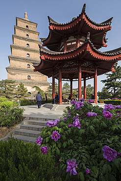 Giant Wild Goose Pagoda (Big Wild Goose Pagoda), Xi'an, Shaanxi Province, China, Asia