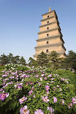 Giant Wild Goose Pagoda (Big Wild Goose Pagoda), Xi'an, Shaanxi Province, China, Asia