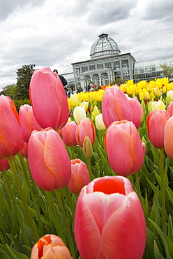 Lewis Ginter Botanical Garden, Richmond, Virginia, United States of America, North America