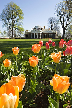 Thomas Jefferson's Monticello, UNESCO World Heritage Site, Virginia, United States of America, North America