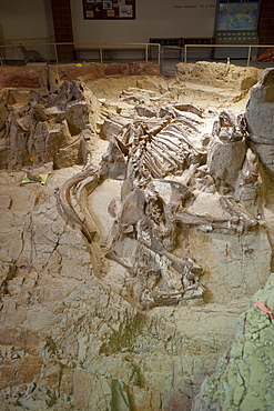 The Mammoth Site, Hot Springs, South Dakota, United States of America, North America