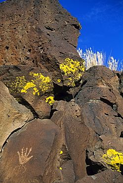 Petroglyphs, Santa Fe County, New Mexico, United States of America, North America