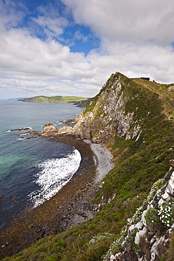 Nugget Point, Otago, South Island, New Zealand, Pacific