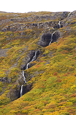 West Fjords, Iceland, Polar Regions 