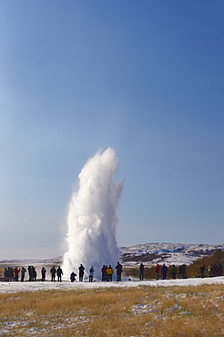 Tourists watching geyser erupting, Strokkur (the Churn) erupts every 5-10 minutes to heights of up to 20 meters (70ft), Geysir, Golden Circle, Iceland, Polar Regions