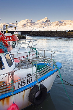 Fishing harbour at Hofn, near Bakkagerdi in Borgarfjordur Eystri fjord, Mount Dyrfjoll (Door mountain), 1136m, in background, East Fjords, Iceland, Polar Regions