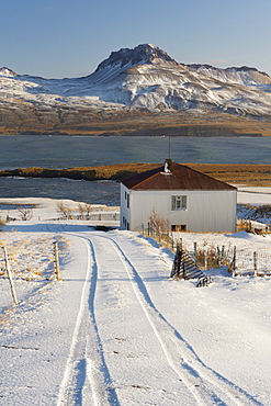 Farm in Borgarfjordur Eystri fjord, Mount Burfell, 464m, on east shore of Borgarfjordur in the distance, East Fjords, Iceland, Polar Regions