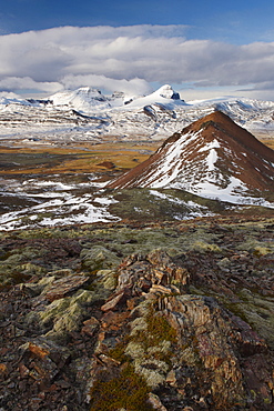 View over Fjardara valley, Borgarfjorur Eystri fjord, Bakkagerdi village and Mount Dyrfjoll (Door Mountain), 1136m, in the distance, from east side of the fjord, East Fjords area, Iceland, Polar Regions