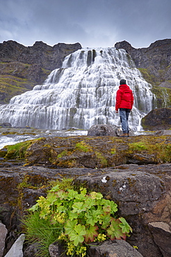 Impressive Dynjandifoss waterfall, in Arnafjordur fjord, in the West Fjords (Vestfirdir), Iceland, Polar Regions