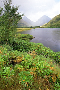 Buachaille Etive Beag and Buachaille Etive Mor, sentinels of Glen Etive, Highlands, Scotland, United Kingdom, Europe