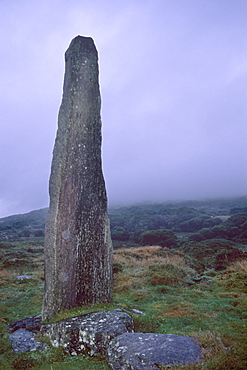 Ogham Stone of Ballycrovane, 17 ft (5.2 m) tall, tallest in Ireland, Ballycrovane, Beara peninsula, County Cork, Munster, Republic of Ireland, Europe