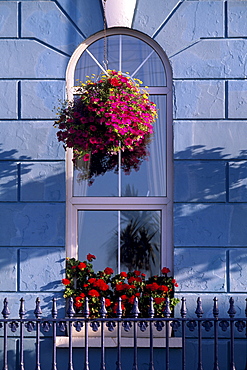 Window of an hotel at Cobh (Cork), County Cork, Munster, Republic of Ireland, Europe