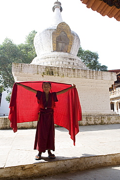 Young Buddhist monk, Punakha Dzong, Punakha, Bhutan, Asia